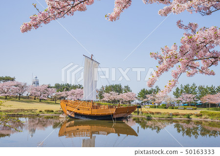 Himawayama公園 Himawayama公園 50163333