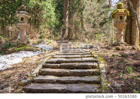 Dewa Miyama Shrine Suginamiki 50163380