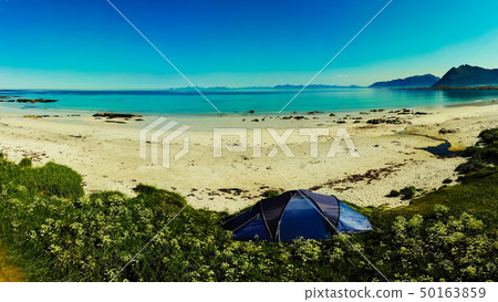 Tent on beach, Lofoten islands, Norway Tent on beach, Lofoten islands, Norway 50163859