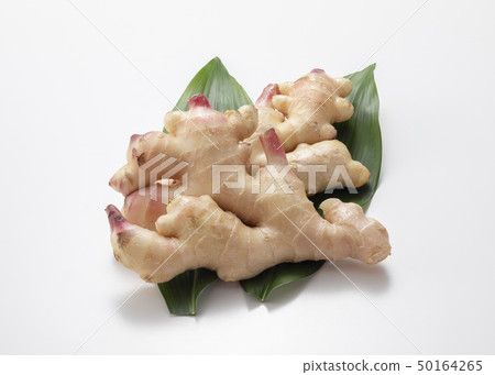 新姜 新姜 50164265