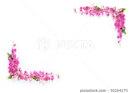 pink floral flower border frame ,white background 50164275
