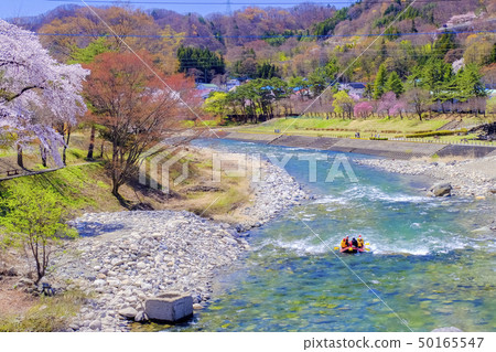 Tone river and rafting in spring 50165547
