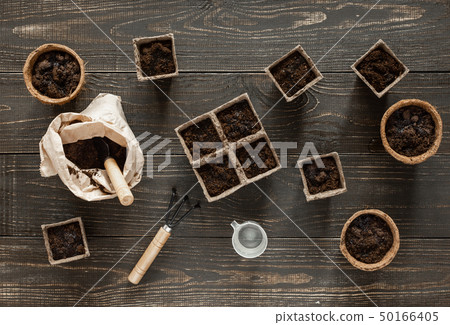Seedlings planted in the ground and watered Seedlings planted in the ground and watered 50166405