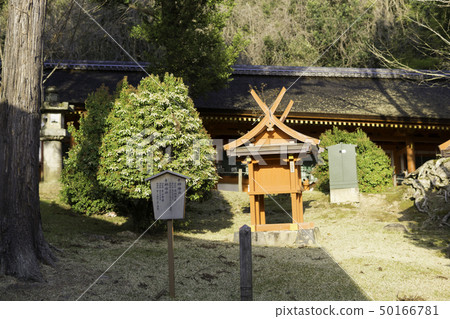 [奈良縣]春日大社神奈良公園 50166781