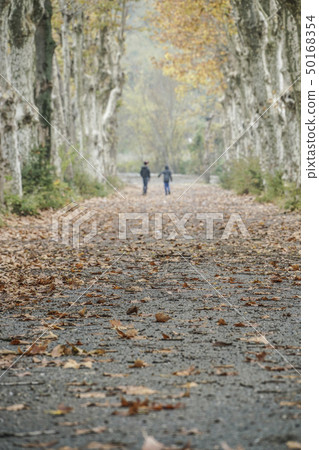 People walking on a country road in rural area 50168354