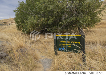 New Zealand city Tekapo 50168773