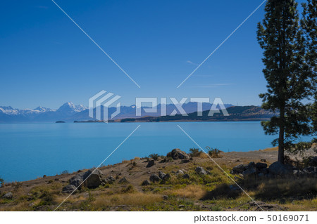 新西蘭風景普卡基湖 50169071