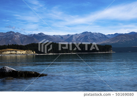 新西蘭風景普卡基湖 新西蘭風景普卡基湖 50169080