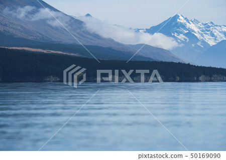 新西蘭風景普卡基湖 新西蘭風景普卡基湖 50169090