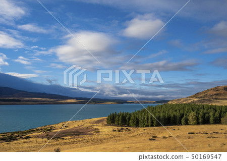 New Zealand's Great Nature Lake Tekapo New Zealand's Great Nature Lake Tekapo 50169547