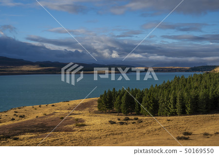 New Zealand's Great Nature Lake Tekapo New Zealand's Great Nature Lake Tekapo 50169550