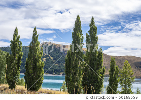 新西蘭的Great Nature Lake Tekapo 新西蘭的Great Nature Lake Tekapo 50169559