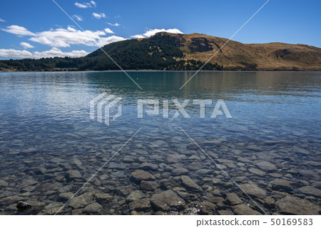 新西蘭的Great Nature Lake Tekapo 50169583