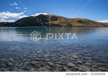 新西蘭的Great Nature Lake Tekapo 50169584