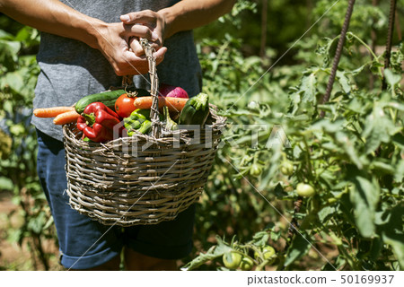 young man with a basket full of vegetables young man with a basket full of vegetables 50169937