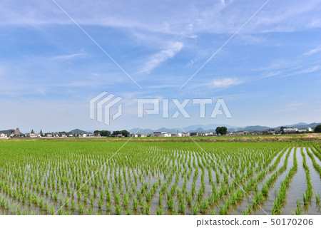 A break in the rainy season A break in the rainy season 50170206