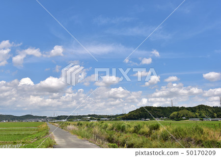 A break in the rainy season 50170209