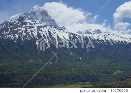 Landscape of Patagonia Landscape of Patagonia 50170260
