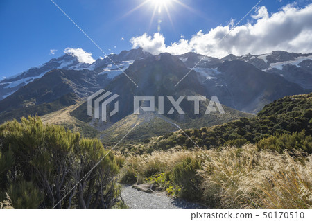 Landscape of New Zealand Mount Aoraki 50170510