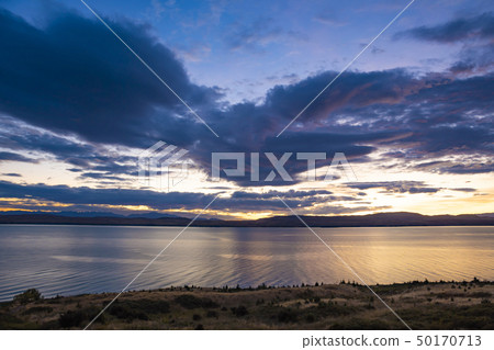 新西蘭早晨黎明在普卡基湖上 新西蘭早晨黎明在普卡基湖上 50170713