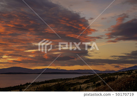 新西蘭早晨黎明在普卡基湖上 新西蘭早晨黎明在普卡基湖上 50170719