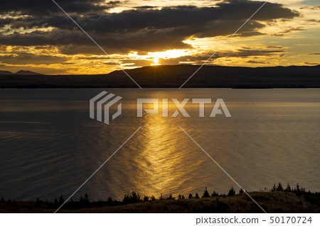 新西蘭早晨黎明在普卡基湖上 50170724