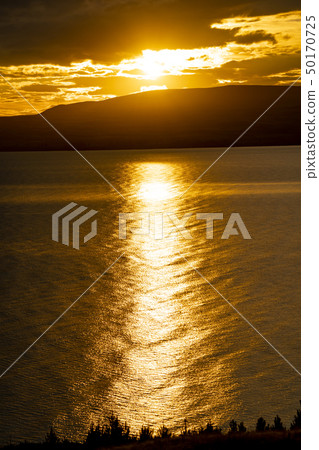 New Zealand Morning Dawn on Lake Pukaki New Zealand Morning Dawn on Lake Pukaki 50170725
