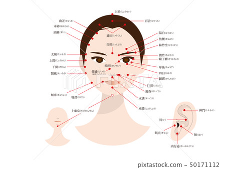 美容針灸和美容院沙龍面部和耳穴(帶假名) 美容針灸和美容院沙龍面部和耳穴(帶假名) 50171112