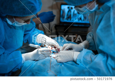 Closeup surgeon hands in bit bloody white gloves 50171976