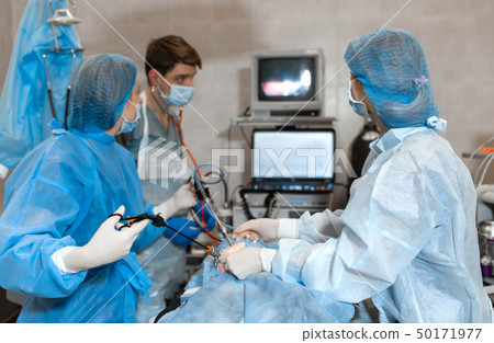 Vet doing the operation for sterilization. The cat 50171977