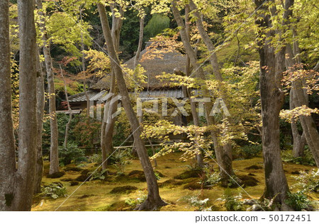 Gio temple Gio temple 50172451