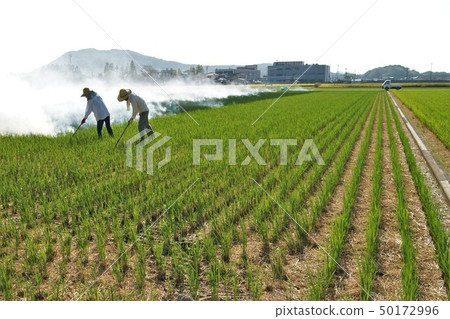 Farm couple 50172996