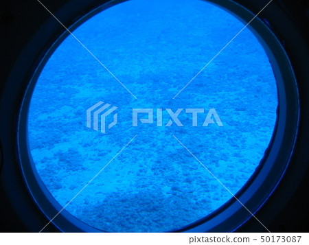 Submarine seen from the window of the submarine Submarine seen from the window of the submarine 50173087