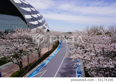 Cherry blossoms and sports facilities Cherry blossoms and sports facilities 50174166
