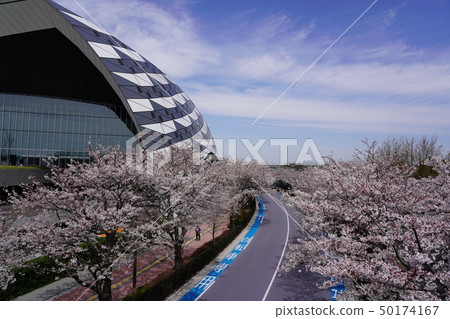 櫻花和體育設施 櫻花和體育設施 50174167