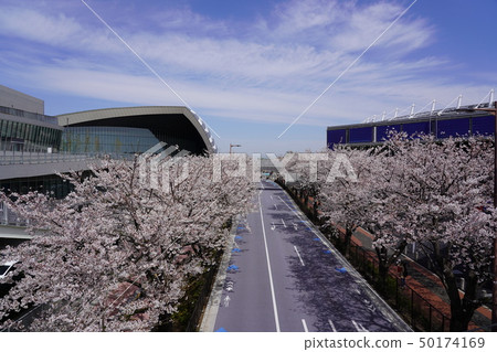 櫻花和體育設施 櫻花和體育設施 50174169
