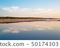 Baltic sea, perfect reflection, forest during sunset 50174303