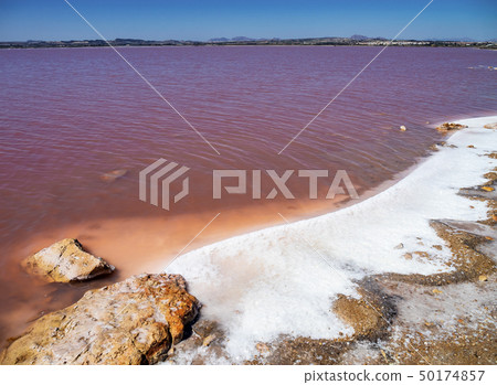 Laguna Salada in Torrevieja, Spain. Pink Salted lake. Salinas Natural Park. 50174857