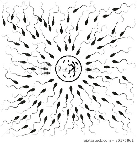 Lots of black detailed spermatozoids runs towards 50175961