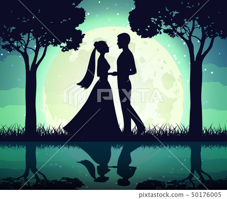 Silhouettes of the bride and groom on the moon background 50176005