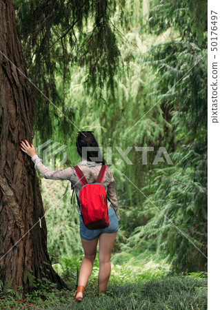 woman with backpack walking in the forest 50176497