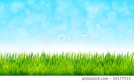 Nature background with green grass and blue sky 50177531