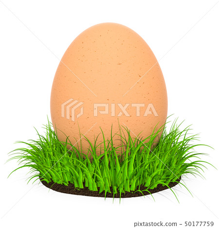 Egg in the green grass, 3D rendering Egg in the green grass, 3D rendering 50177759