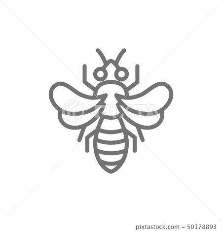 Honey bee, beekeeping line icon. Isolated on white background Honey bee, beekeeping line icon. Isolated on white background 50178893