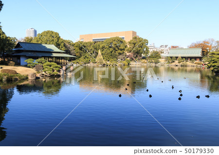 Kiyosumi Garden (Winter) 50179330