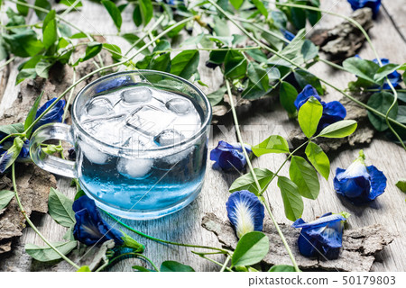 Fresh butterfly pea flower juice with ice in glass 50179803