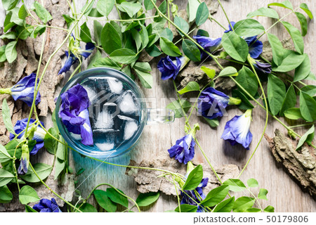 Fresh butterfly pea flower juice with ice in glass 50179806