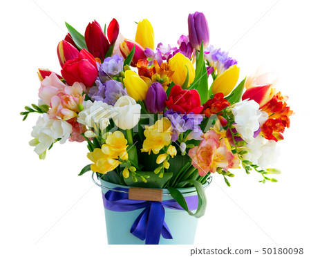 fresh tulips flowers fresh tulips flowers 50180098