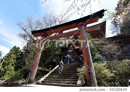 春天吉野吉野濕氣神社 春天吉野吉野濕氣神社 50180639