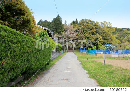 白山宮（Kuyama Town） 50180722